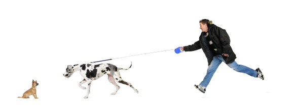 Pet Care Resources